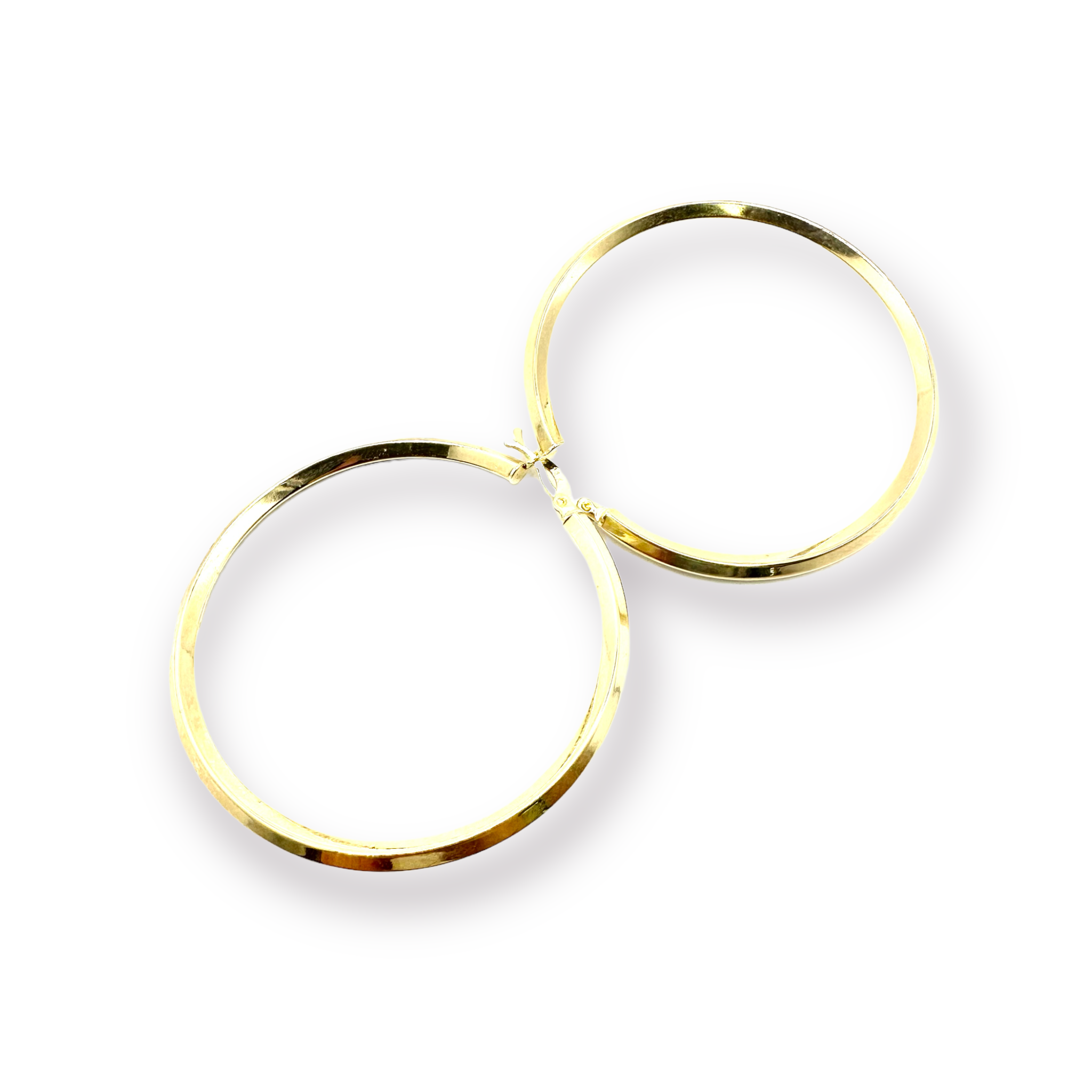 Hoop Earrings # 199